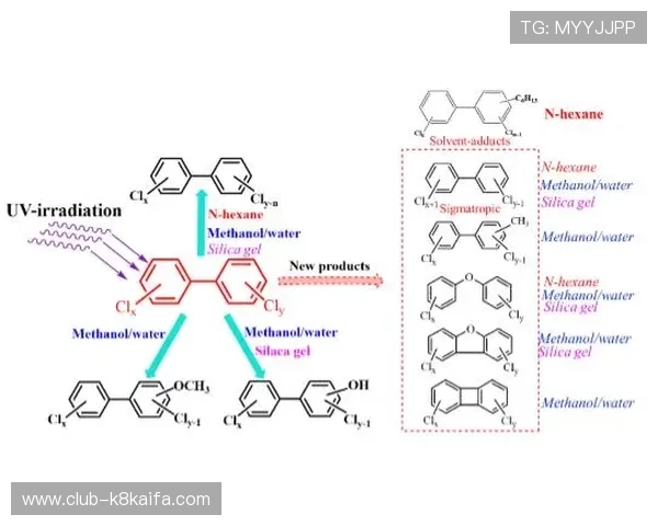 凯发体育官方入口安全登录技术升级，提供更稳定更快速的登录体验